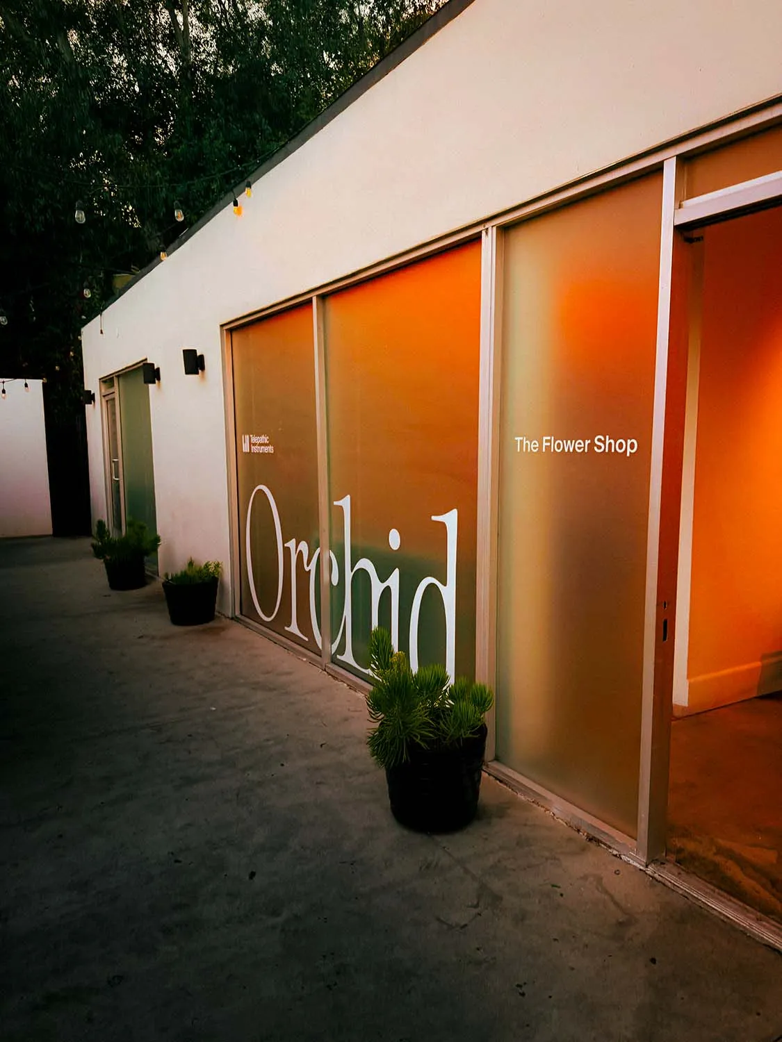 Orchid launch event